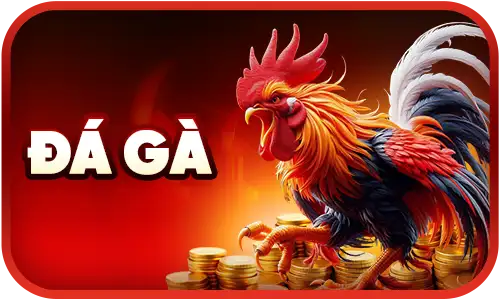 Đá gà J88